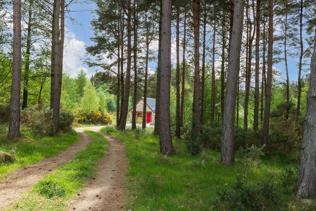 Callie Bothy gallery - Gallery