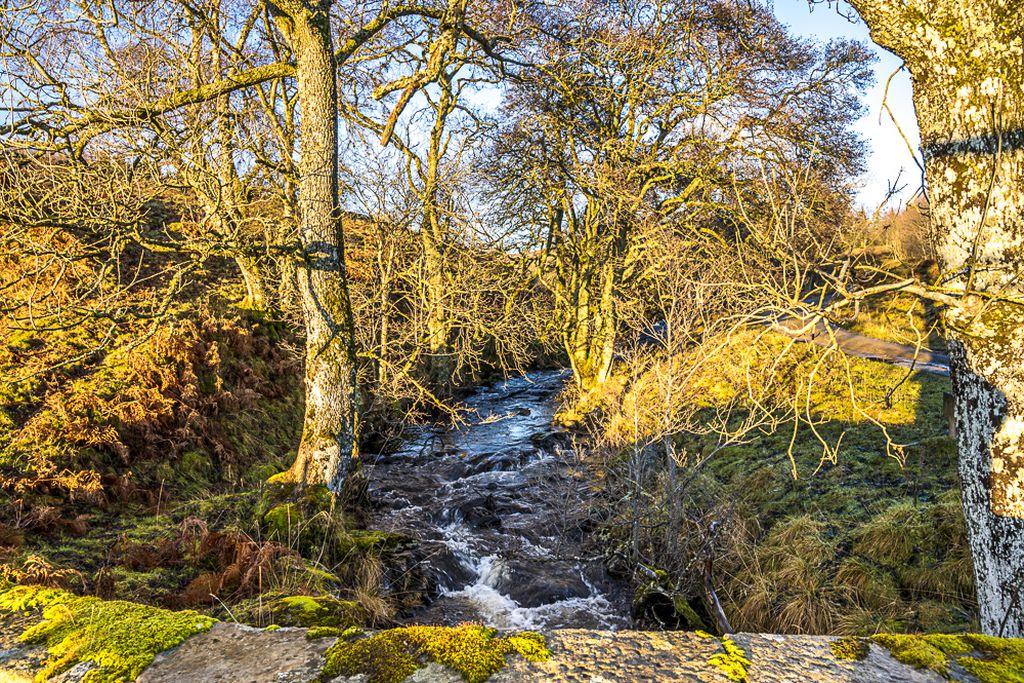 Cuil an Duin gallery - Gallery
