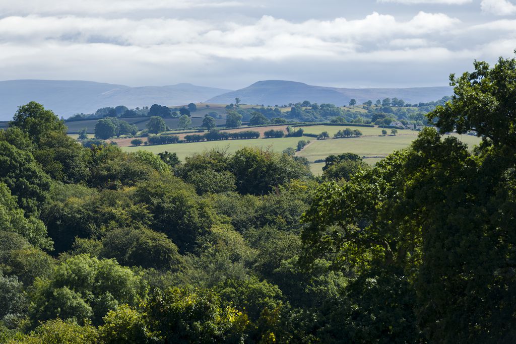 Glan Honddu - Sawday's