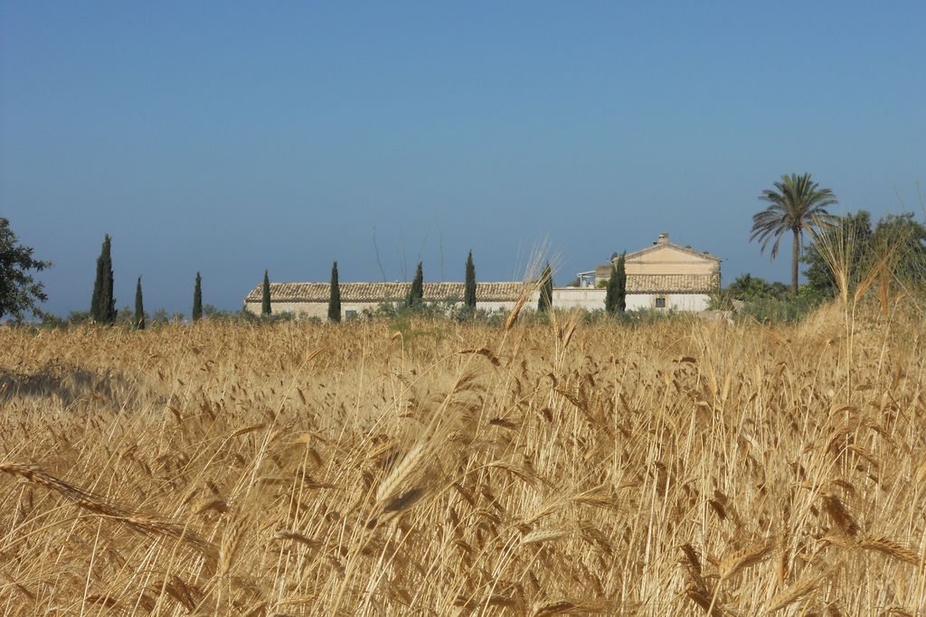Tenuta Cammarana gallery - Gallery
