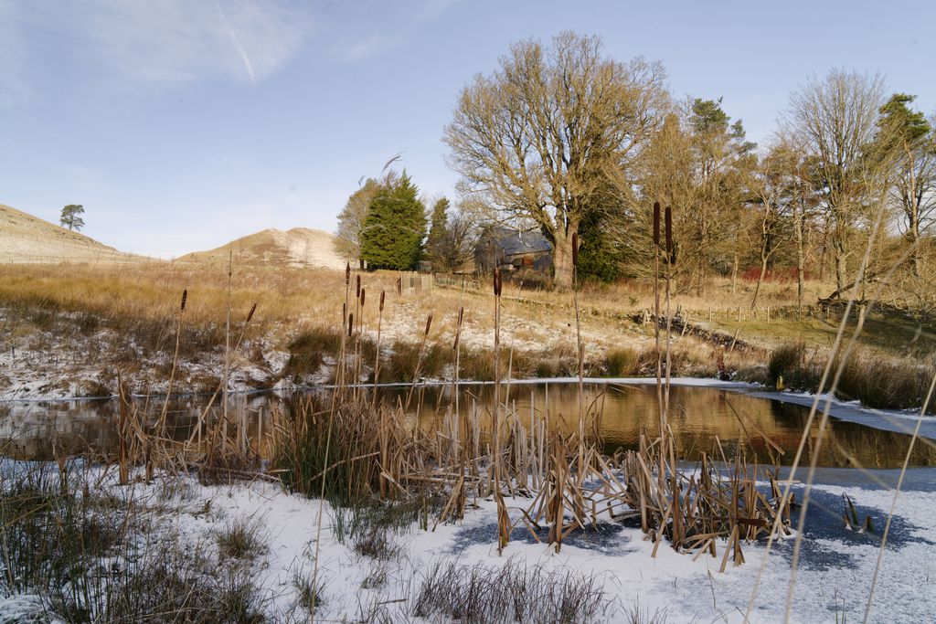 The Woodshed gallery - Gallery