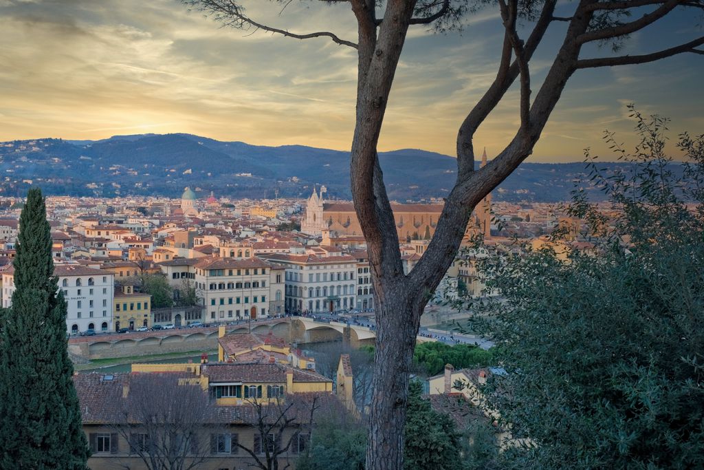 Florence by Frances gallery - Gallery