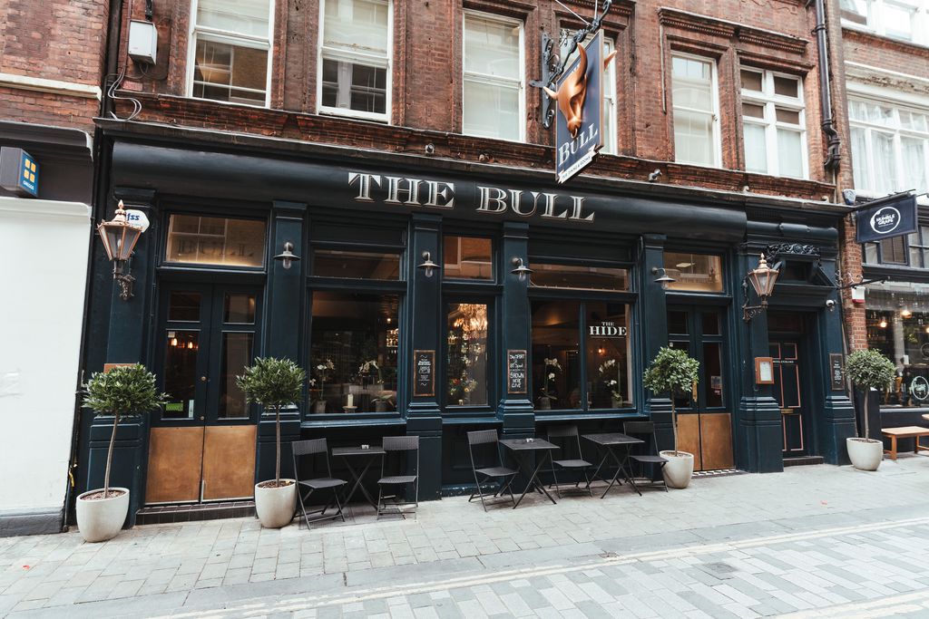 The Bull & The Hide - Gallery