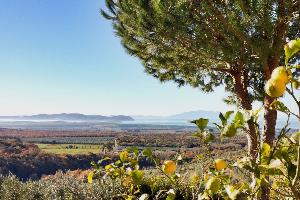 Poggio ai Santi 17 - Gallery