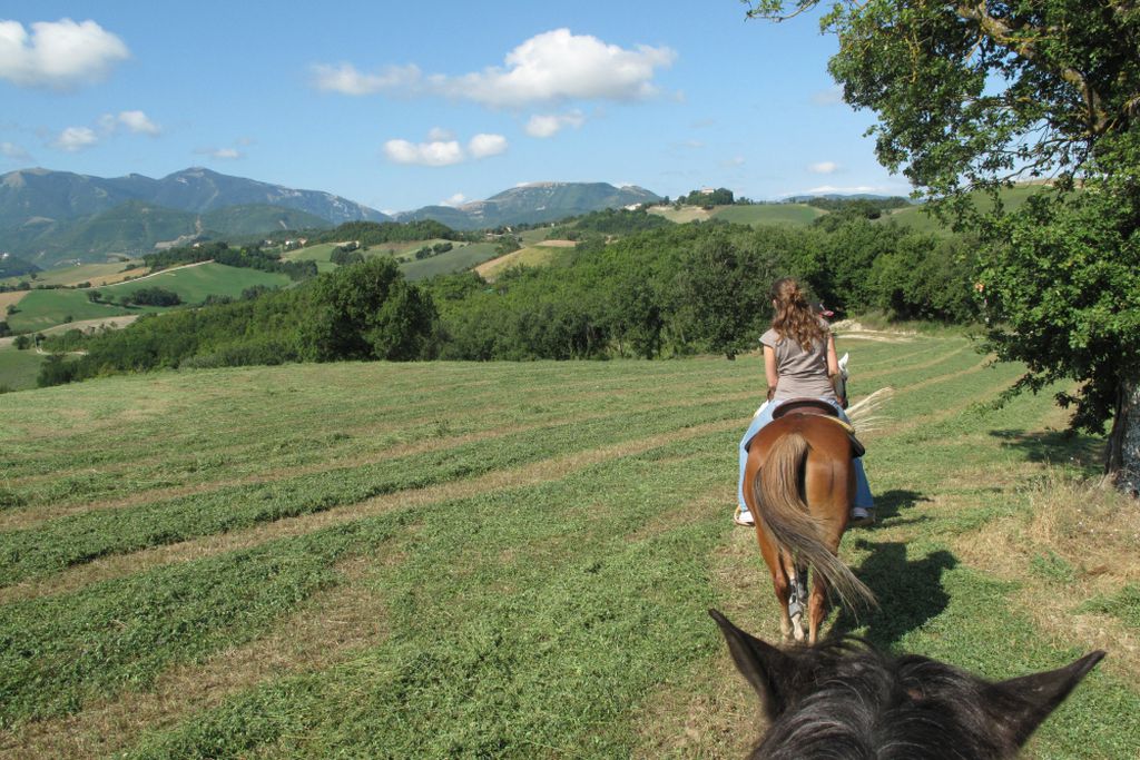 Locanda della Valle Nuova 19 - Gallery