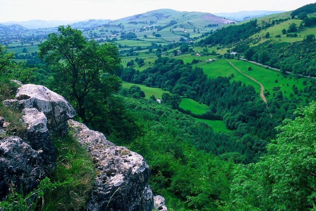 Pen-y-Dyffryn Country Hotel 10 - Gallery