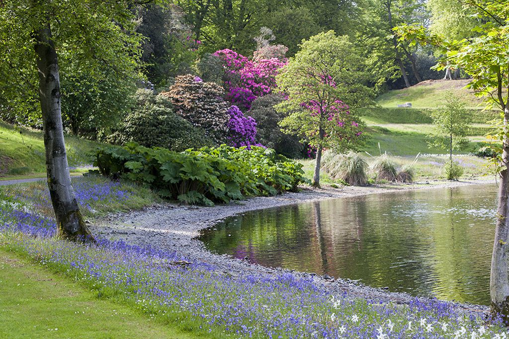 Lochinch Castle Cottages 18 - Gallery