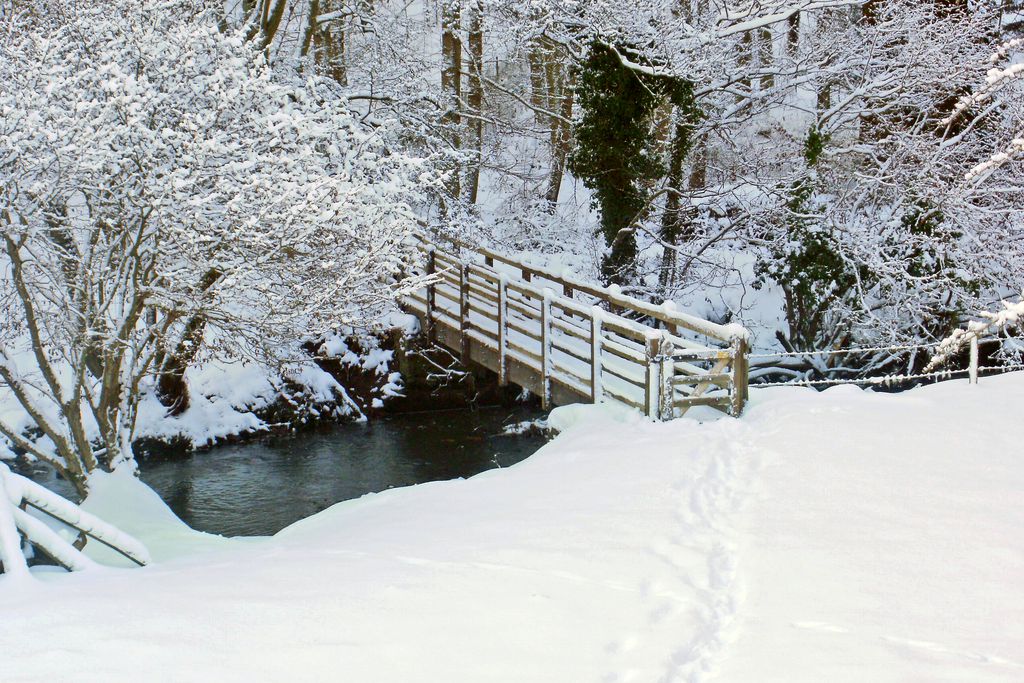 Coquet Cottage 17 - Gallery