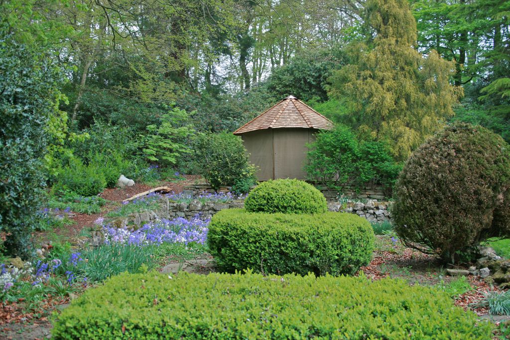 Burnhopeside Hall 10 - Gallery