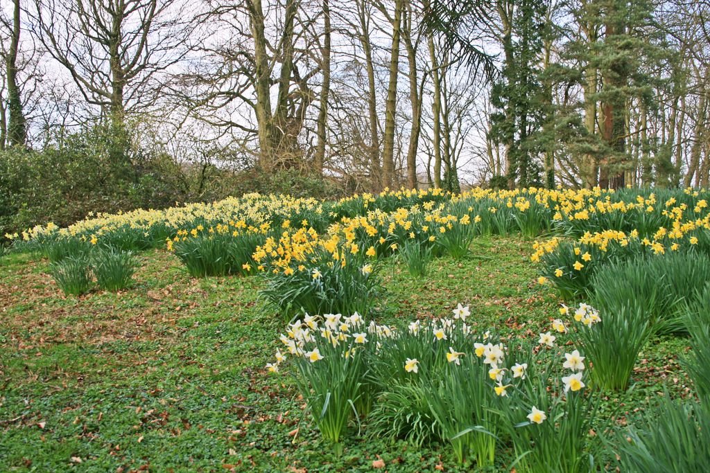 Burnhopeside Hall 12 - Gallery