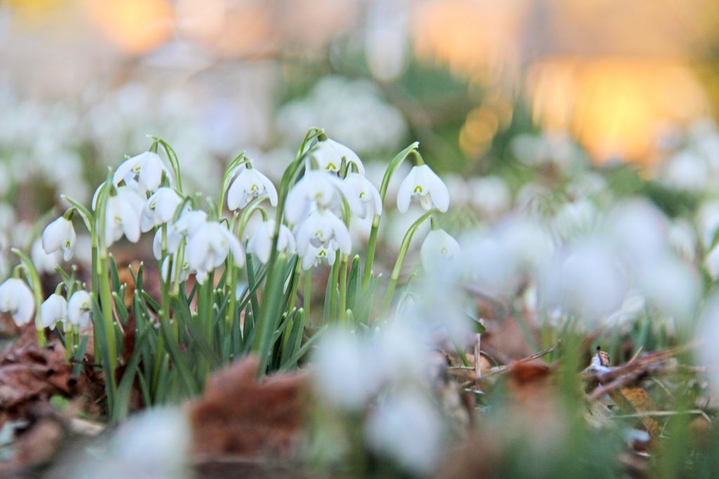 Burnhopeside Hall 15 - Gallery