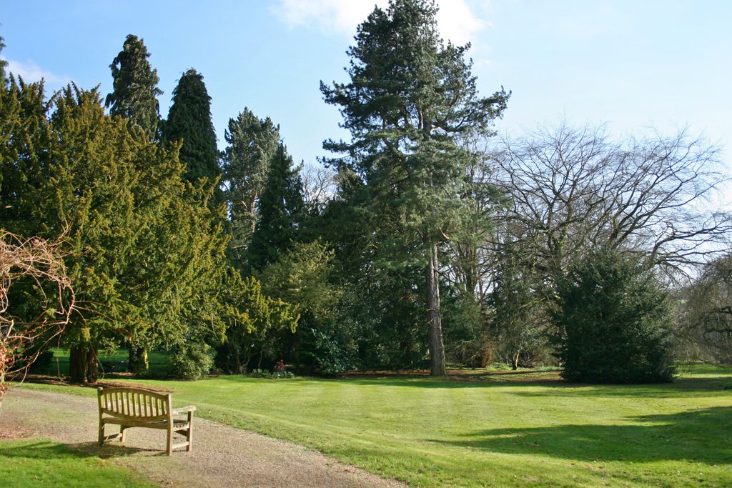 Burnhopeside Hall 11 - Gallery