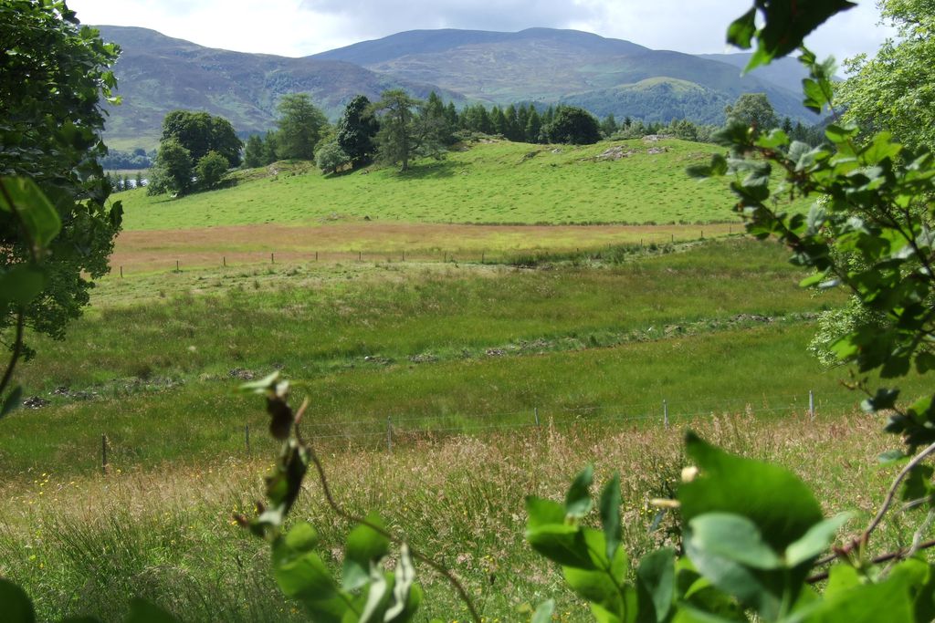 Rose Cottage, Dunalastair Estate 17 - Gallery