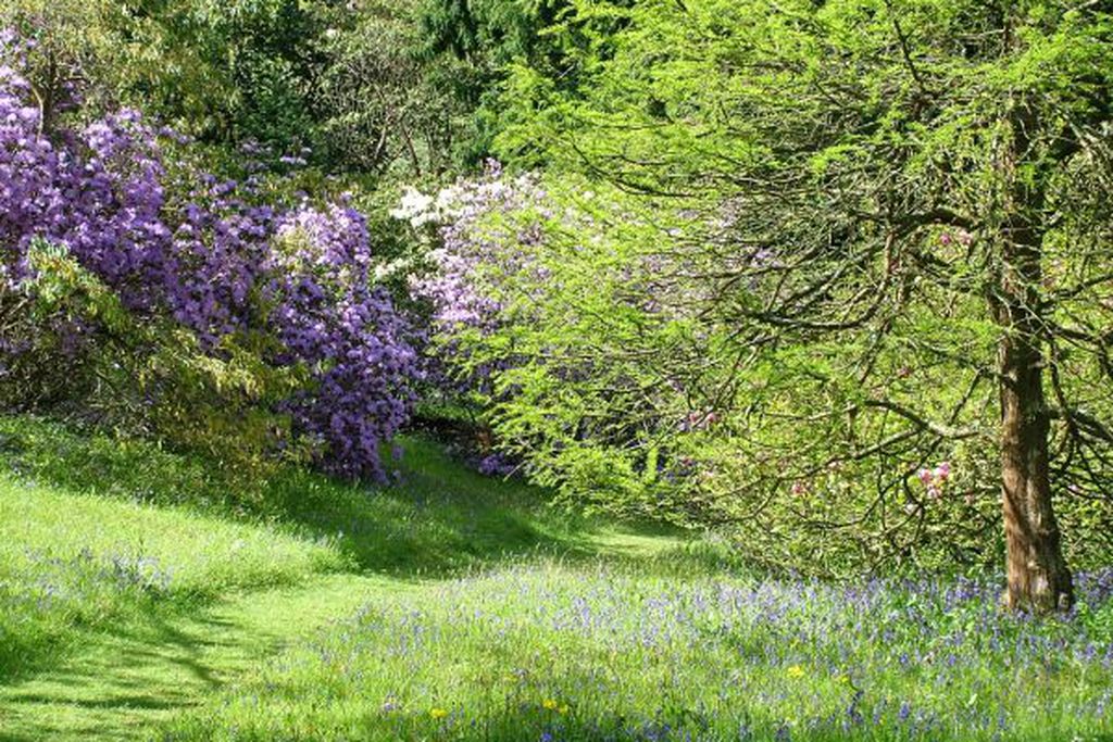 Glendurgan gallery 13 - Gallery