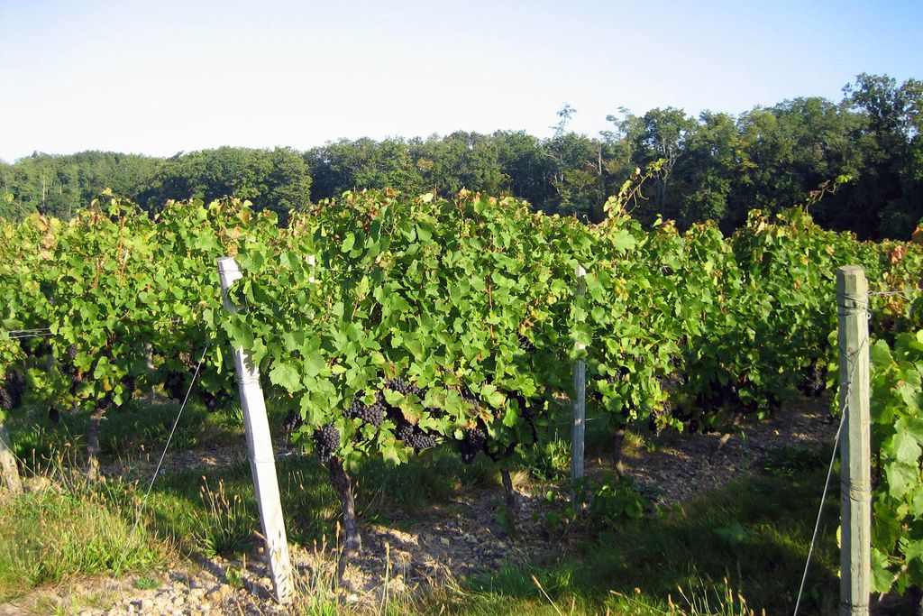 Le Clos de Fontenay - Gîte 14 - Gallery