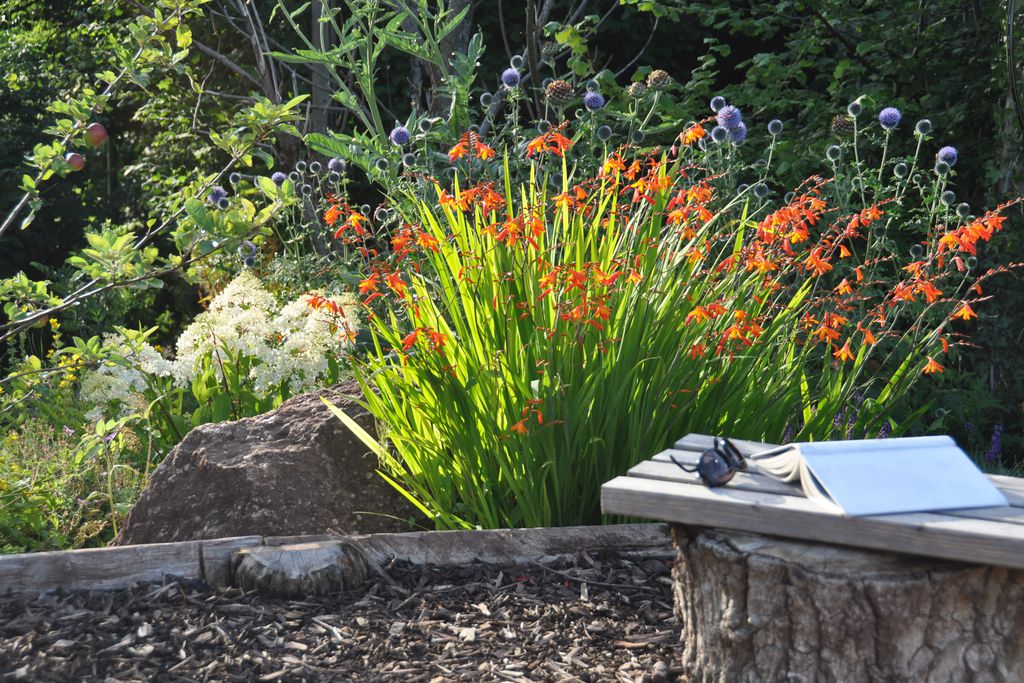 Donkey Shed 20 - Gallery