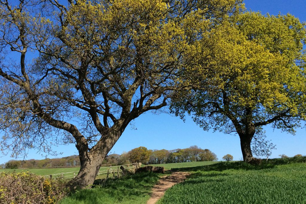 Backwood Hall Holiday Cottages 9 - Gallery