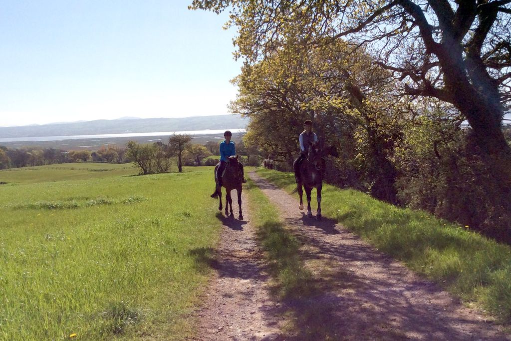 Backwood Hall Holiday Cottages 19 - Gallery