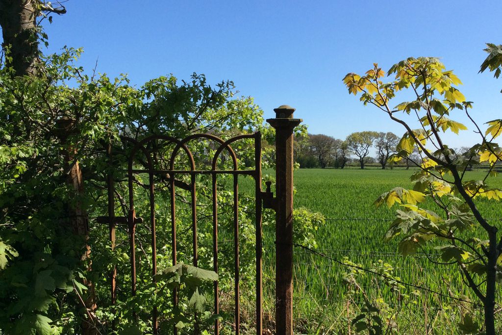 Backwood Hall Holiday Cottages 20 - Gallery