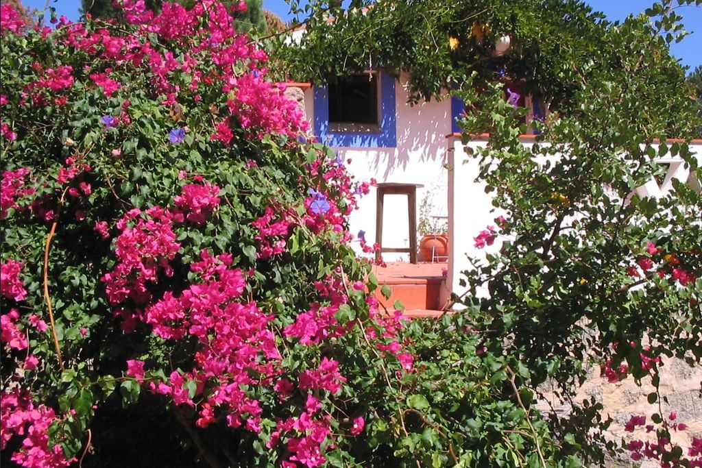 Quinta da Relva 20 - Gallery