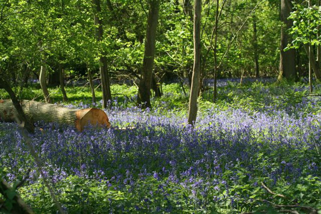 Abbey Home Farm: Lower Wiggold Cottage 13 - Gallery