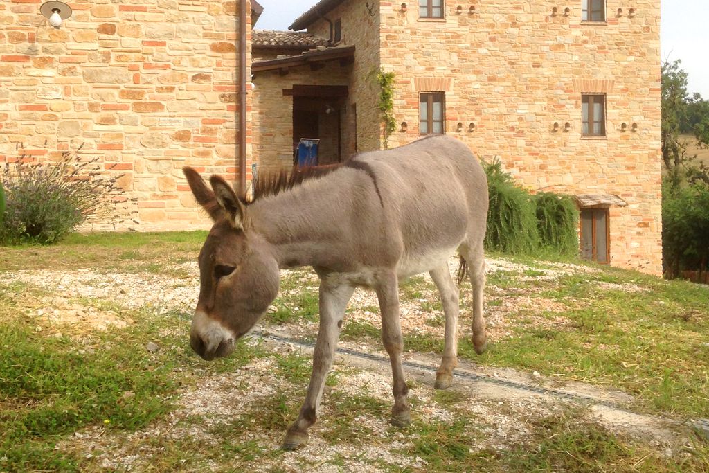 Agriturismo Ramusè 17 - Gallery