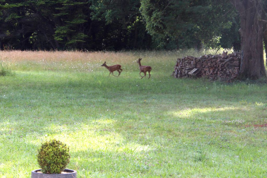 Manoir de l'Eolière 17 - Gallery