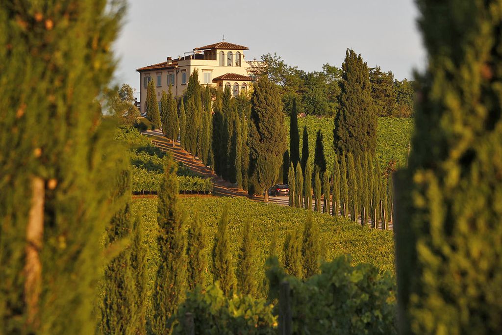 Tenuta Poggio al Casone 6 - Gallery