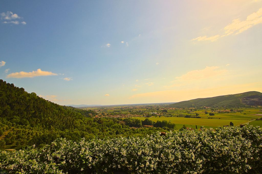 La Lucertola 14 - Gallery