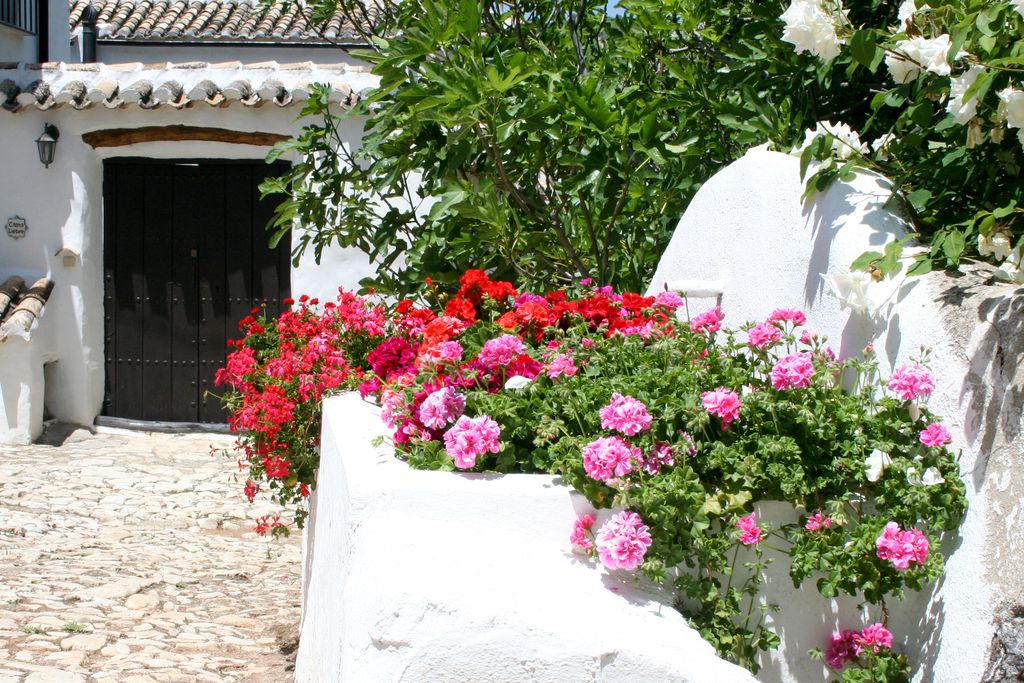 Cortijo Las Rosas 17 - Gallery