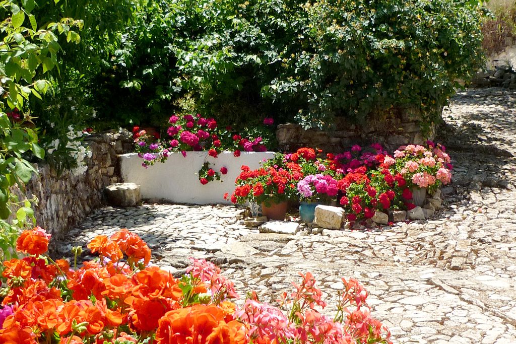 Cortijo Las Rosas 19 - Gallery