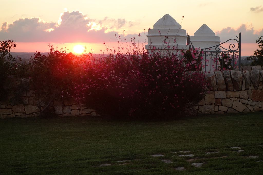 Masseria Serralta 16 - Gallery