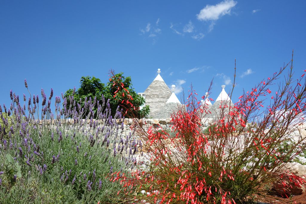 Masseria Serralta 20 - Gallery