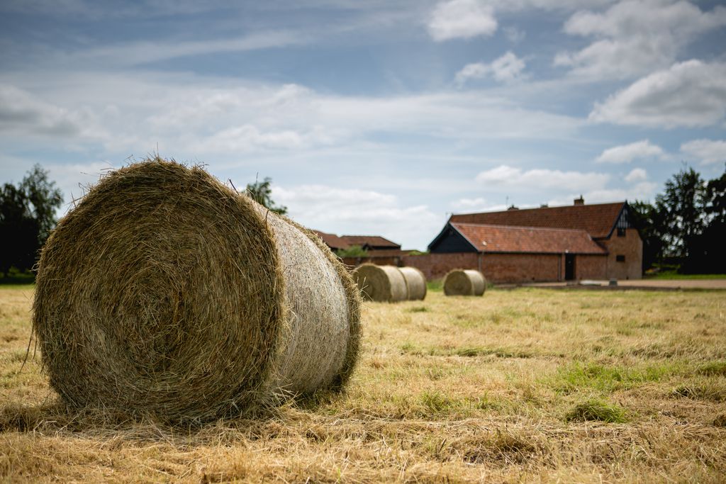 Trustans Barn 9 - Gallery