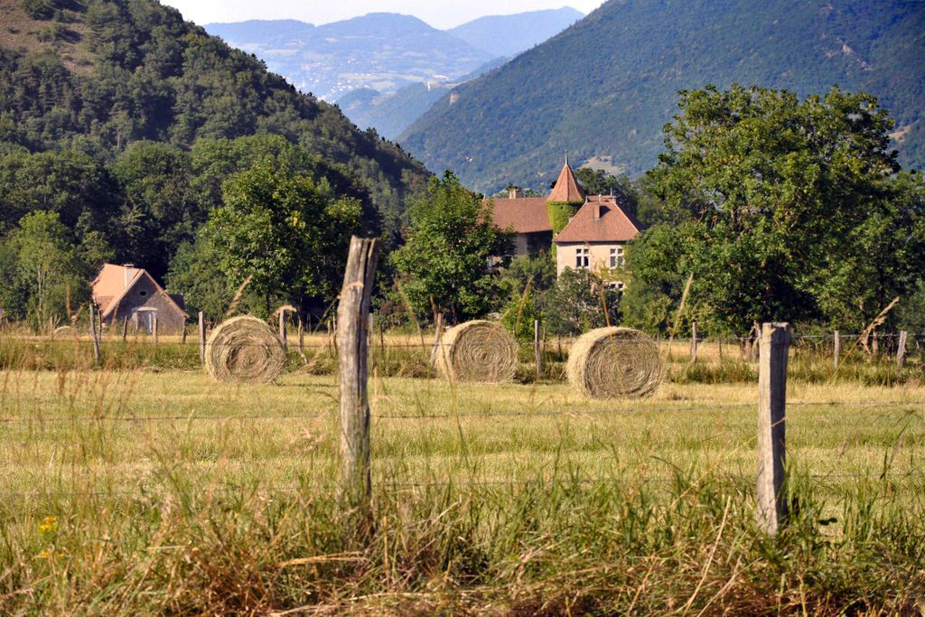 Château de Pâquier 14 - Gallery