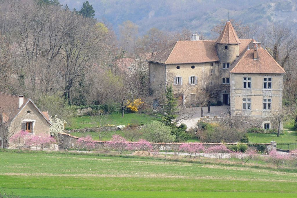 Château de Pâquier 19 - Gallery