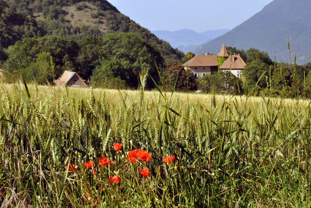 Château de Pâquier 20 - Gallery