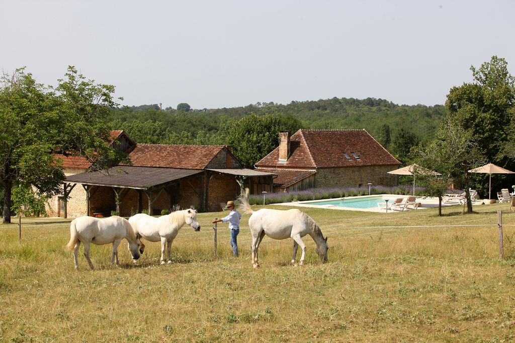 La Ferme d'Araucanie 14 - Gallery