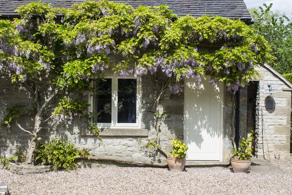 Wisteria Cottage 1 - Gallery