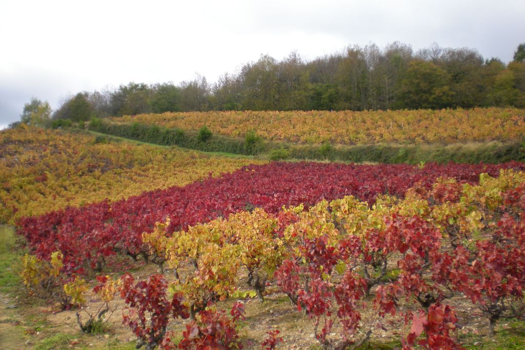 Maison d'hôtes de La Verrière 20 - Gallery