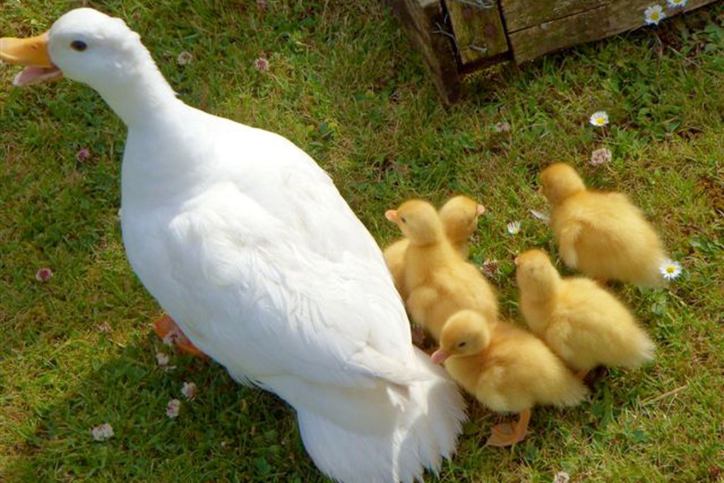 Fronhaul 20 - Gallery