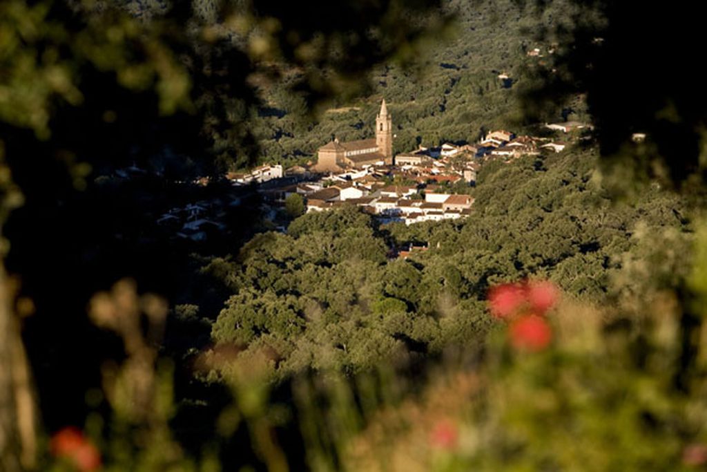 Posada Finca la Fronda 17 - Gallery