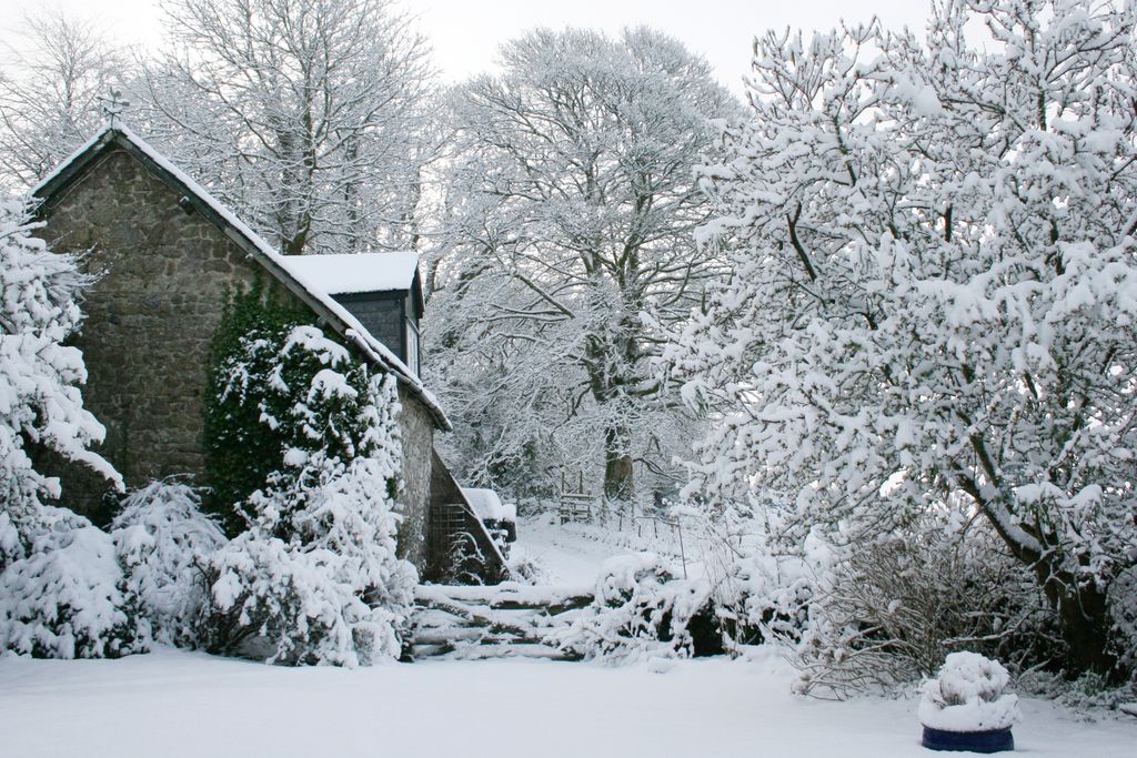 The Barn, Easdon Cottage 18 - Gallery