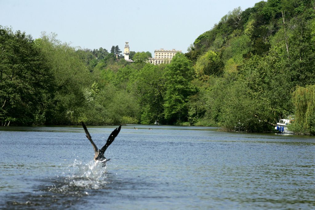 Cliveden House 18 - Gallery