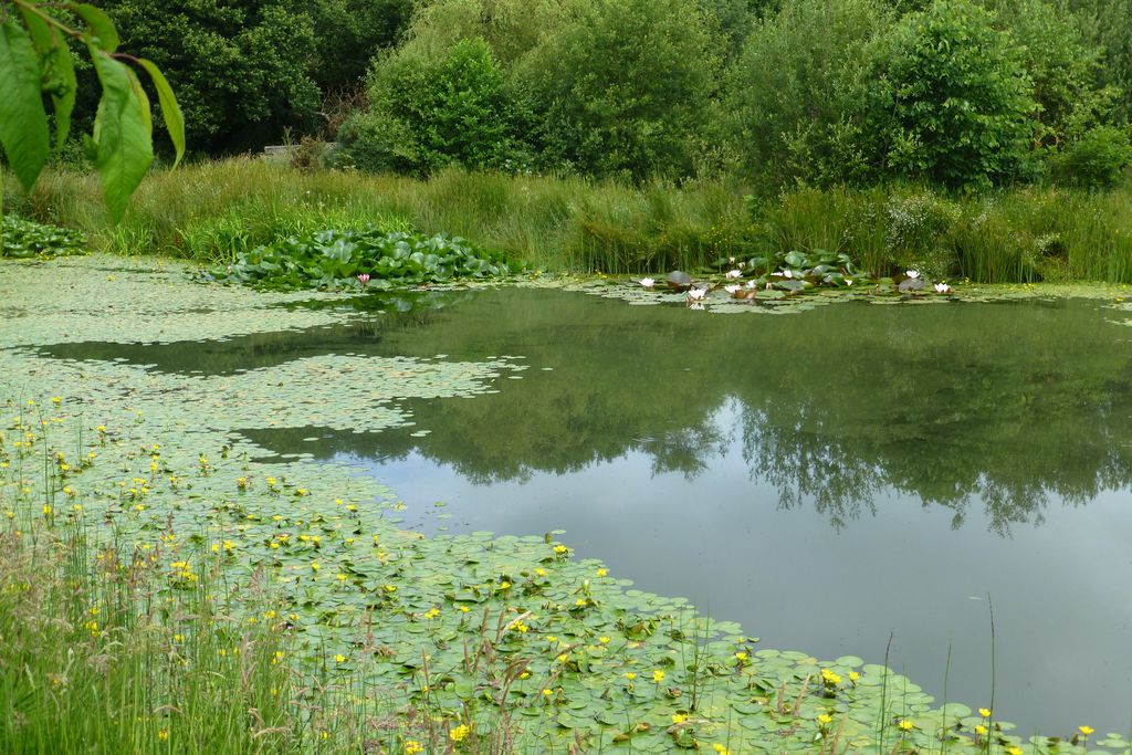 The Old Piggery, Kerswell Farm 9 - Gallery
