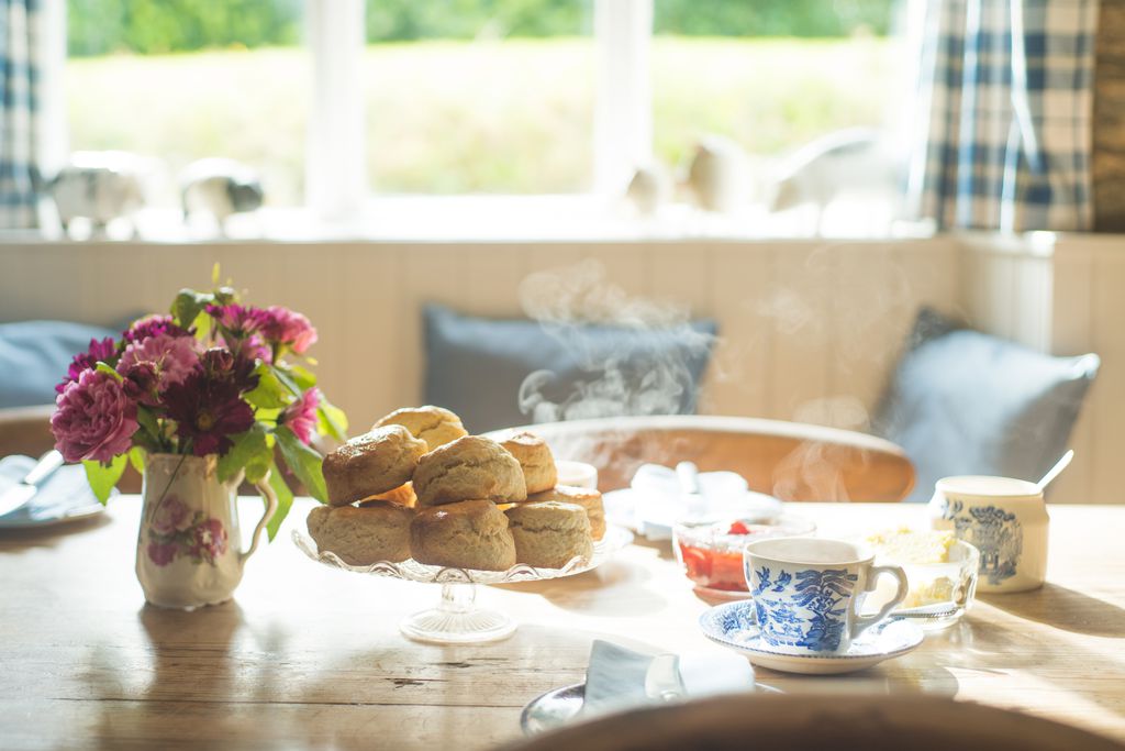 Freshly baked scones sitting on the dining room table 