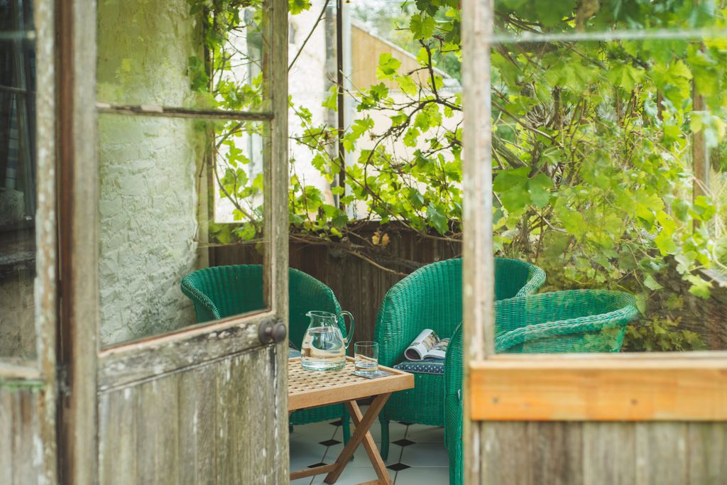 Covered seating area in the garden, covered in vines