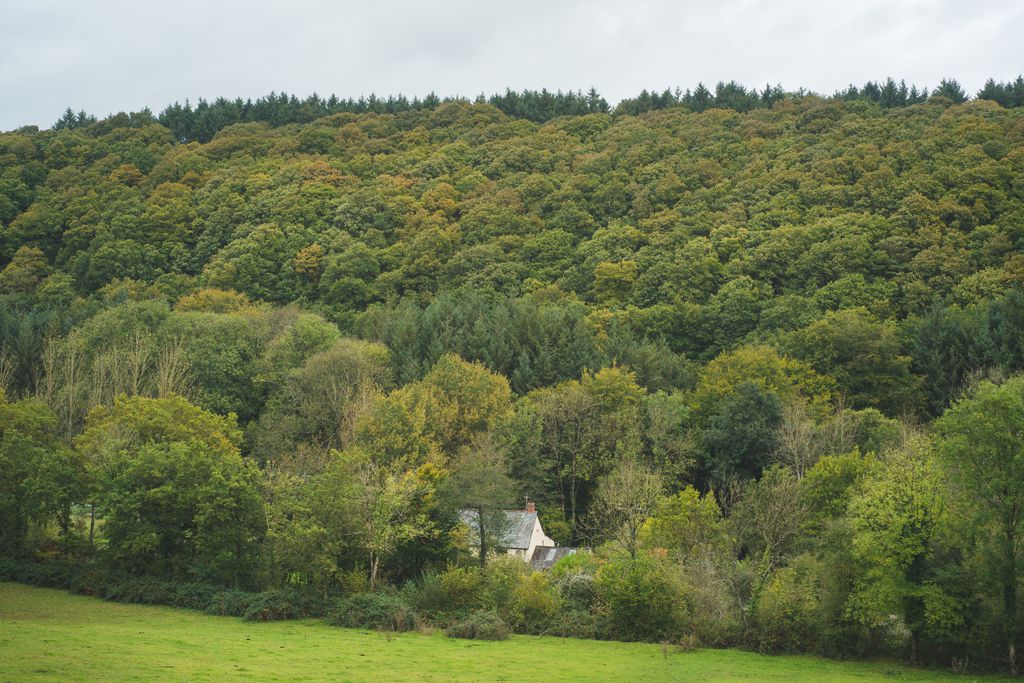 Horry Mill and surrounding countryside