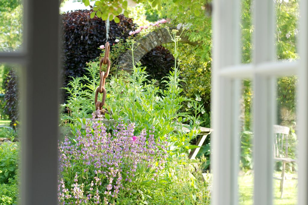 Window view looking out into the lovely garden