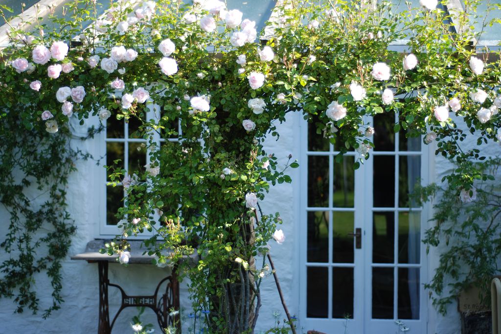 Exterior view of the cottage with flower archways in front